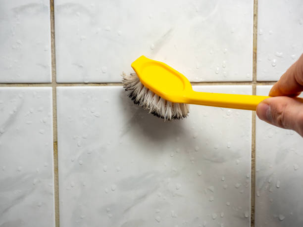 Best Best Mold Removal Companies  in Elsmere, DE