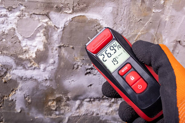 Best Water Damage Restoration  in Elsmere, DE