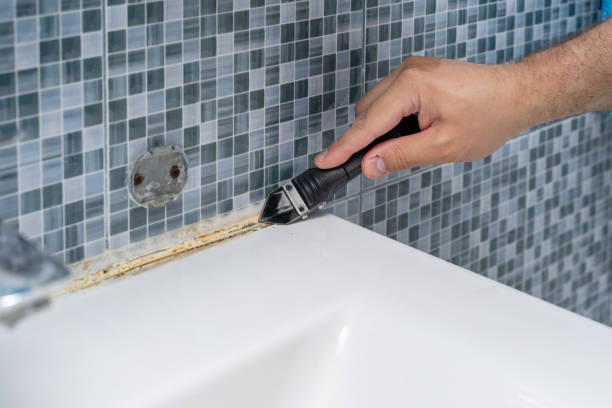 Best Mold Removal Near Me  in Elsmere, DE